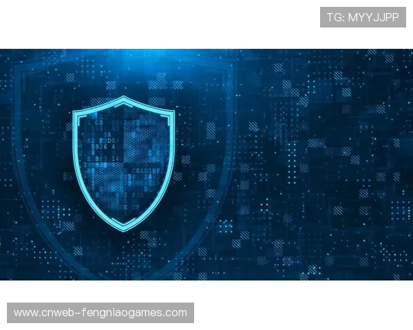 网络安全保险成为标配，转移数据泄露等经营风险。